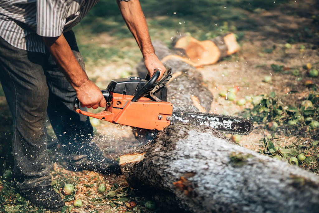 Man using a chainsaw to cut through a downed tree