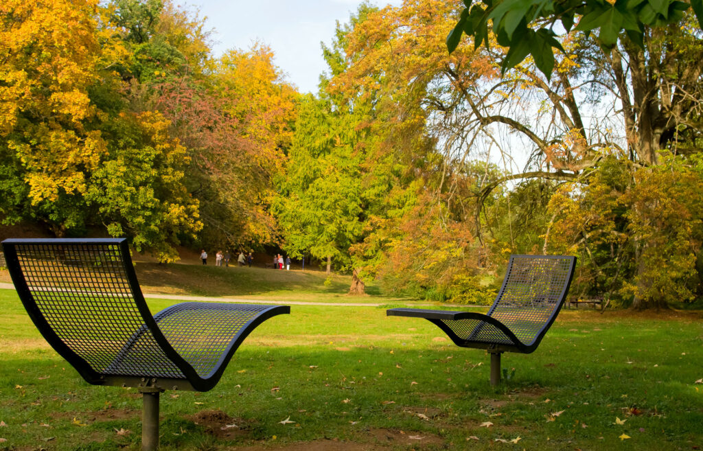 chairs in a park